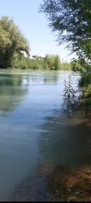 Ташкентская область, Кибрай