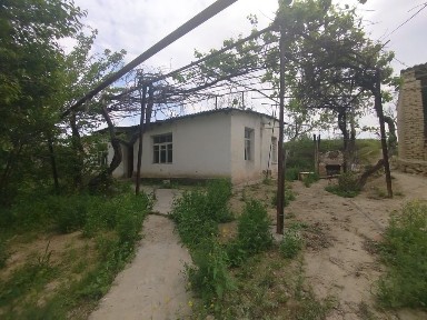 Ташкентская область, Бекабад