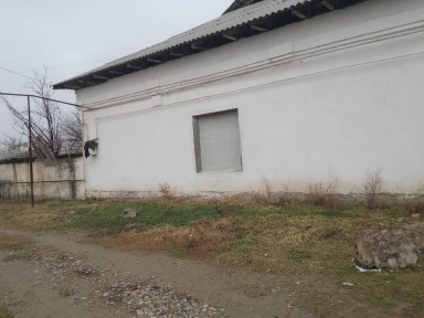 Ташкентская область, Чиназ