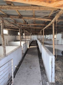 Ташкентская область, Зангиата