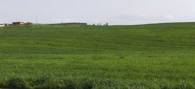 Ташкентская область, Ахангаран