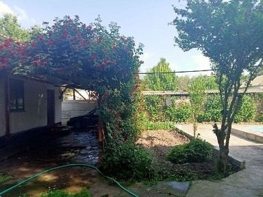 Ташкентская область, Ташморе