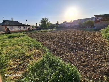 Ташкентская область, Янгибазар