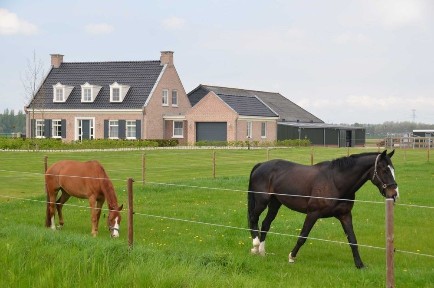 Ташкентская область, Янгиюль