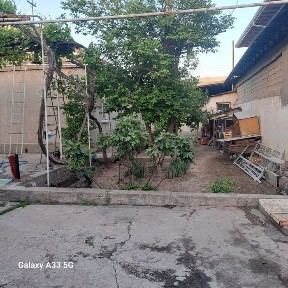 Ташкентская область, Мирабад