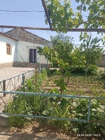 Сырдарьинская область, Гулистан