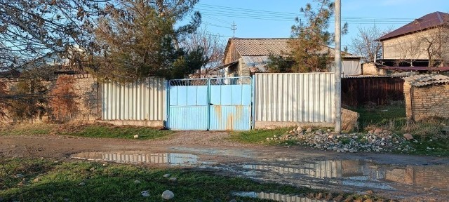 Ташкентская область, Янгибазар