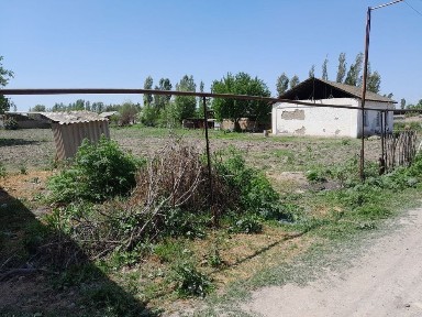 Ташкентская область, Нурафшан (Тойтепа)