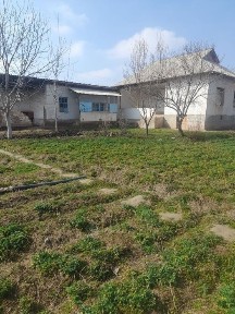 10 sotix hovli uylari bilan