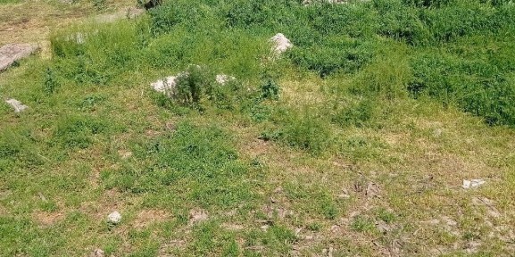 Ташкентская область, Ташкент, Юнусабадский район