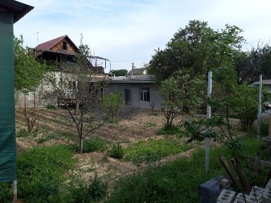 Ташкентская область, Эшангузар