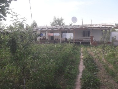 Ташкентская область, Нурафшан (Тойтепа)