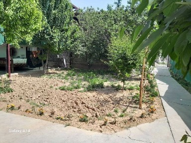 Ташкентская область, Назарбек