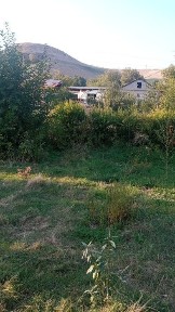 Ташкентская область, Ходжикент