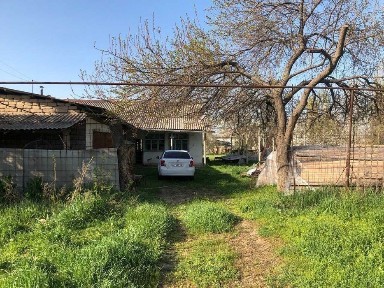 Ташкентская область, Нурафшан (Тойтепа)