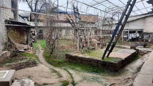 Ташкентская область, Ташкент, Чиланзарский район