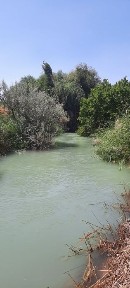 Ташкентская область, Кибрай