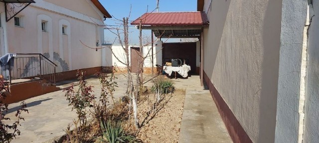 Кашкадарьинская область, Карши