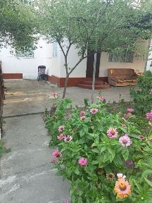 Ташкентская область, Ташкент, Чиланзарский район