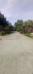 Ховли сотилади 300 миллионга!