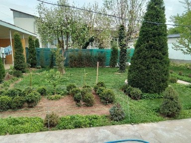 Ташкентская область, Ташкент, Мирзо-Улугбекский район