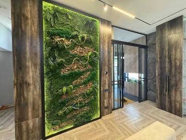 Ташкентская область, Ташкент, Мирзо-Улугбекский район