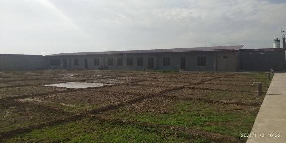 Ташкентская область, Кибрай