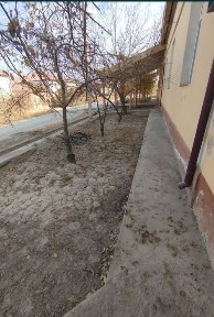 Namunali uy sotiladi katej 600 Kv metr. Manzil qaramon