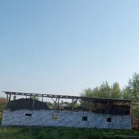 Ташкентская область, Бука