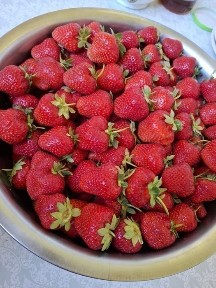 Ташкентская область, Нурафшан (Тойтепа)