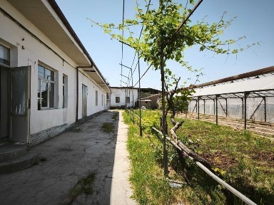 Ташкентская область, Зангиата