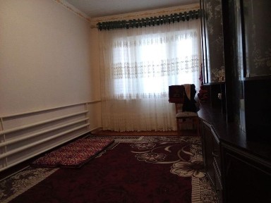 Ташкентская область, Чиназ