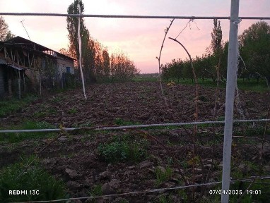 Ташкентская область, Янгибазар