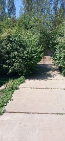 Ташкентская область, Янгибазар