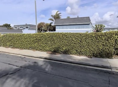 Ташкентская область, Ташкент, Алмазарский район