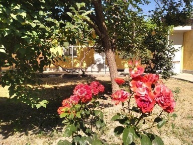 Ховли сотилади хазора махалла