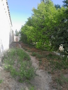 Участка 8 10 сотикли шофиркон шибиргон кишлоги