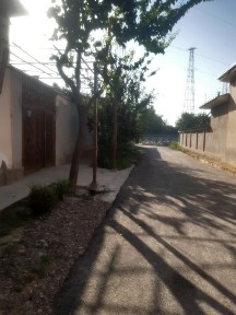 Ташкентская область, Зангиата