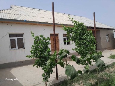 Сурхандарьинская область, Термез