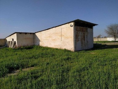 Кашкадарьинская область, Карши