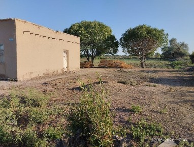 Каракалпакстан, Кегейли