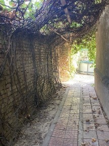 Ташкентская область, Ташкент, Мирабадский район