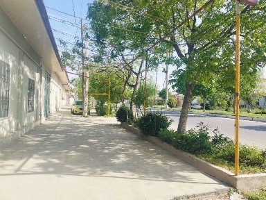 Самаркандская область, Самарканд