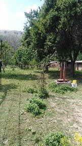 Ташкентская область, Ташкент, Яккасарайский район