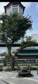 Ташкентская область, Ташкент, Чиланзарский район