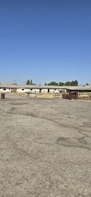 Ташкентская область, Кибрай