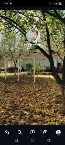 Ташкентская область, Келес