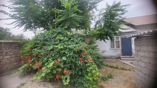 Ташкент, Юнусабадский район, 43 квартал дом14