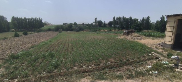 Ташкентская область, Чиназ