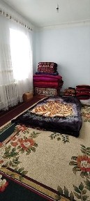 Ташкентская область, Нурафшан (Тойтепа)